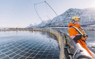 Baerekraftsundersokelsen 2023 kbnn bedrift og kommuner